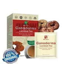 Thé Ganoderma Lucidum (3kits) Thé Ganoderma Lucidum (3kits)